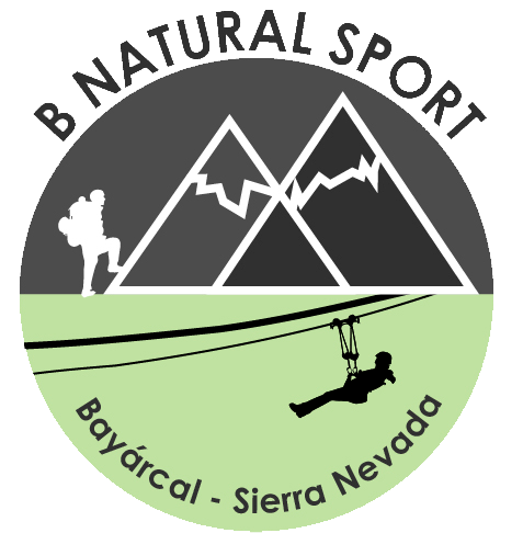logo-bnatural
